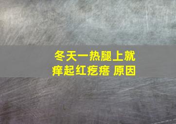 冬天一热腿上就痒起红疙瘩 原因